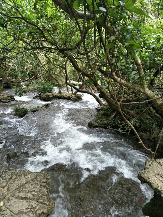 Libo Seven Small Arches (Xiaoqikong) Scenic Area