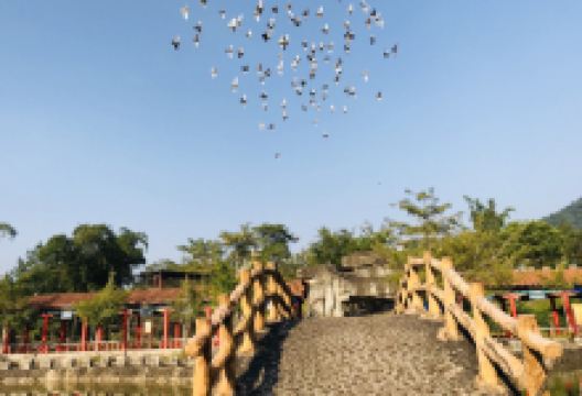 百鸟乐园景点图片