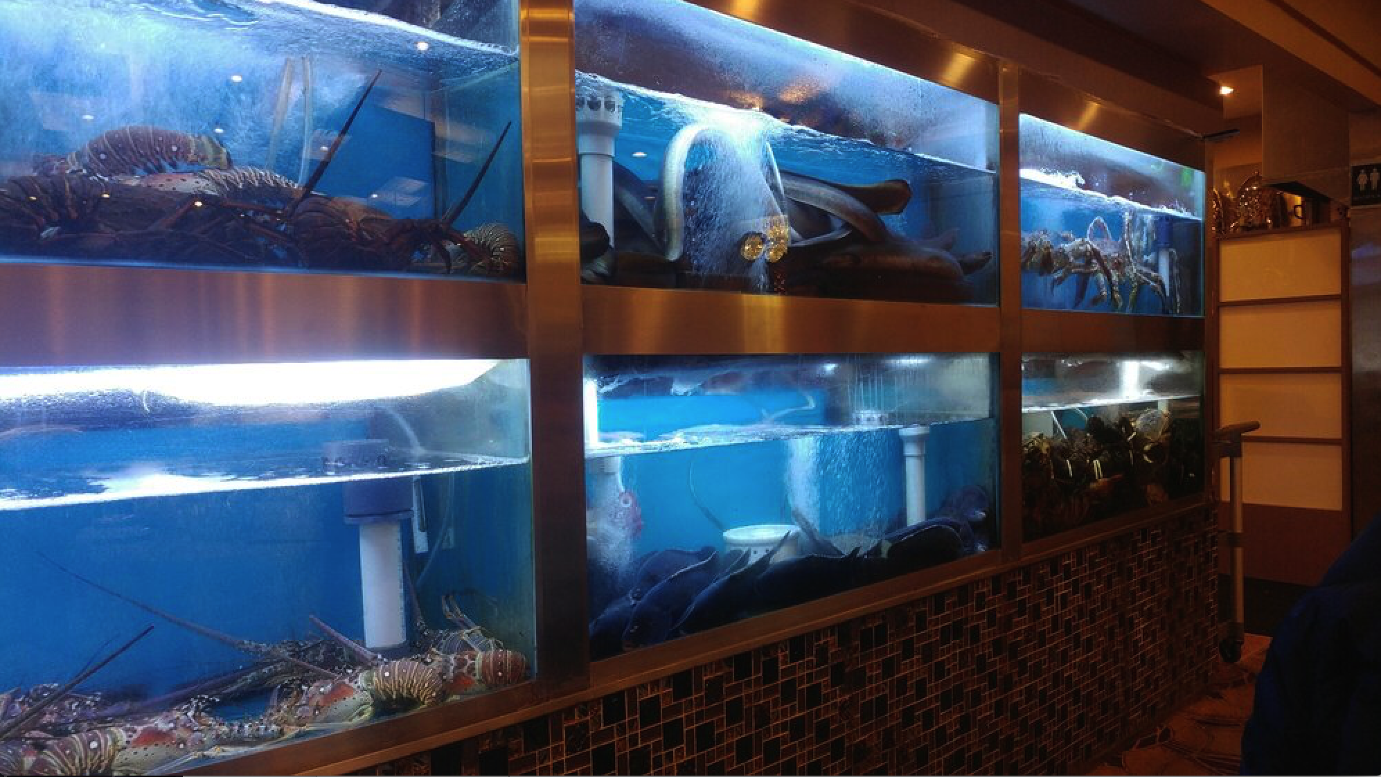 Dragon Boat Fusion Cuisine