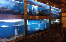 Dragon Boat Fusion Cuisine餐厅图片