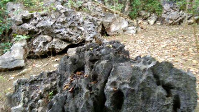 Shijinglin Sceneic Area
