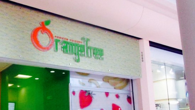 Orange Tree Frozen Yogurt餐厅图片