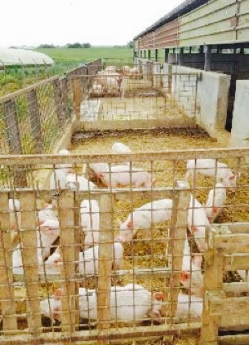 Ristorante Valle di Perna