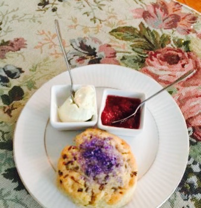 The Tea Kettle Cafe餐厅图片