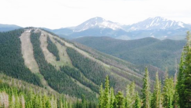 Luigi's Pasta House餐厅图片