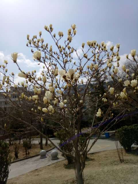 重庆鸡公煲(商学院店)