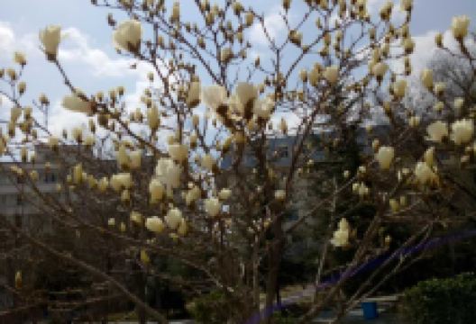 重庆鸡公煲(商学院店)美食图片