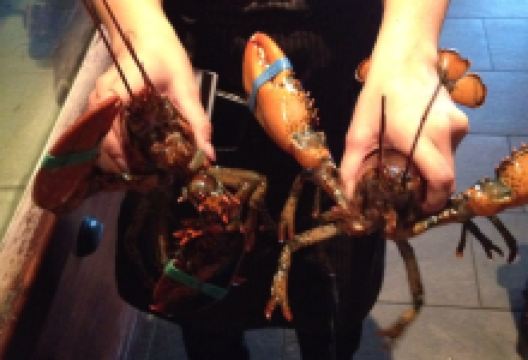 Red Lobster美食图片