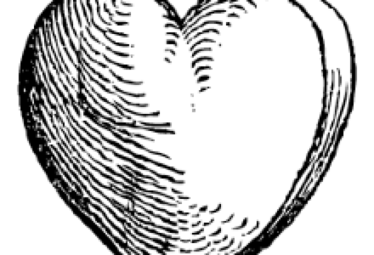 Restaurant Adler美食图片