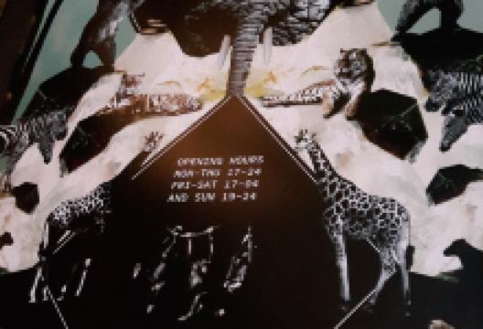 Sirkus Föroyar美食图片