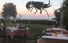 Trattoria Da Gianni餐厅图片