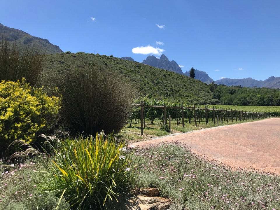 Postcard Cafe餐厅图片