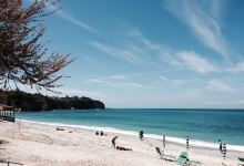 Lido Tropical美食图片