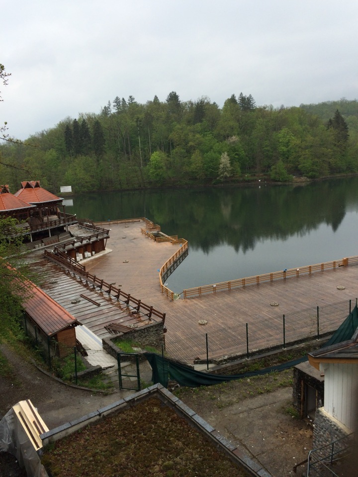 Ciuperca Mica Kicsi Gomba