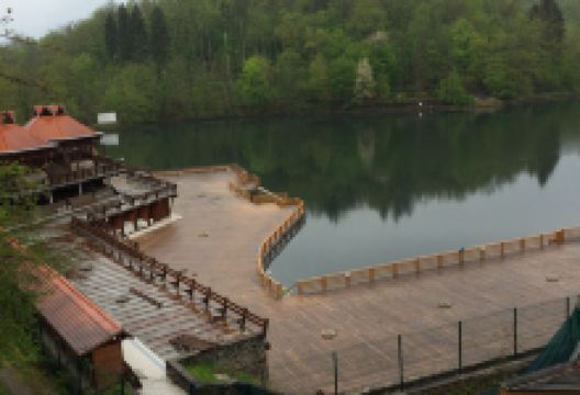 Ciuperca Mica Kicsi Gomba美食图片