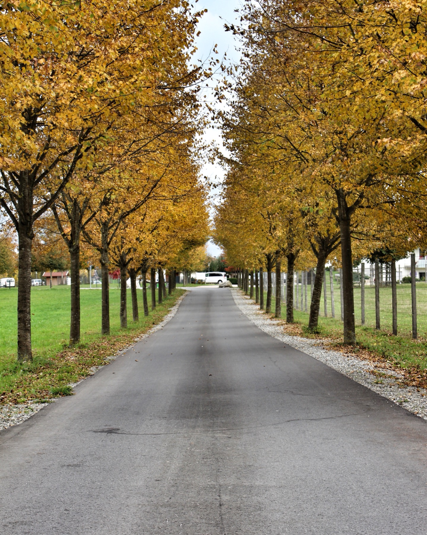 Ferienhof Tiergarten