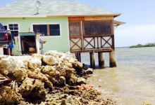 BuzzardnBetsy Bay restaurant and Bar美食图片