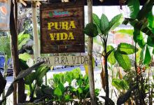 Soda Pura Vida美食图片