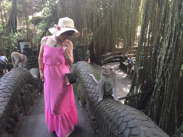 Ubud Monkey Forest