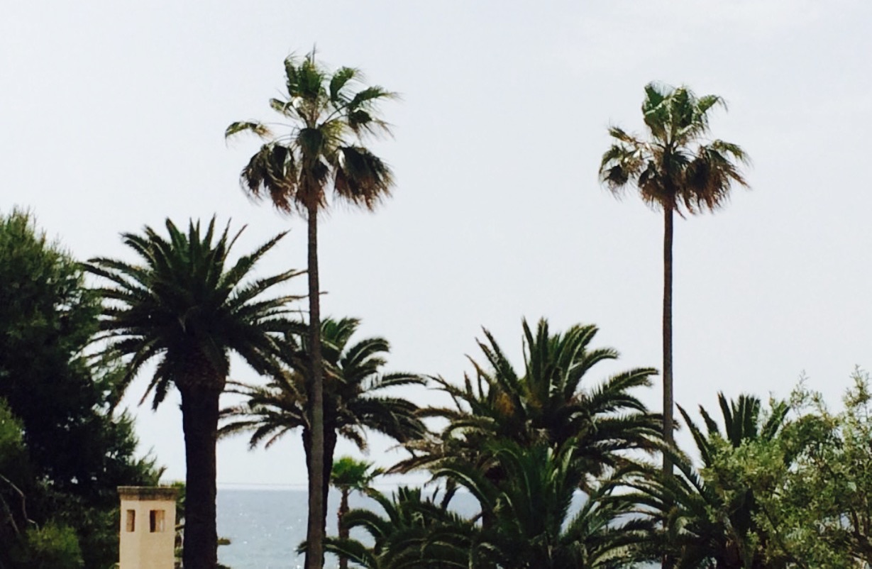 Caffè Redentore餐厅图片