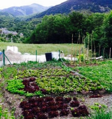 Hostal La Plaça - Restaurant