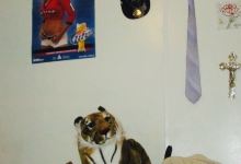 Pizza Hut美食图片