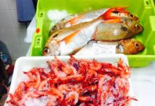 Sa Jambina美食图片