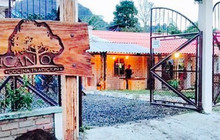 Restaurante El Encanto餐厅图片