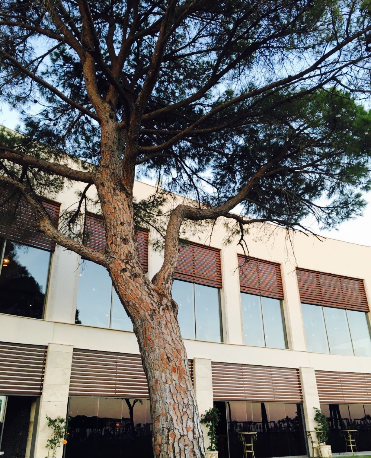 Turquoise Restaurant餐厅图片