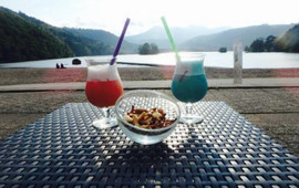 Domaine du Lac Chambon