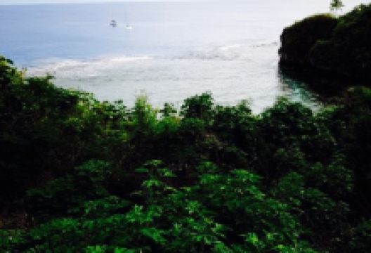 Crazy Uga美食图片