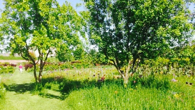 The Vine House Cafe餐厅图片