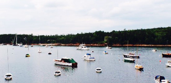 The Coffee Shop & Pizzeria