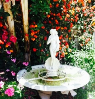 Cavos Cafe Bar餐厅图片