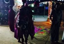 Maa Palle Ruchulu美食图片
