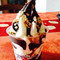 Yogurtlandia San Vito