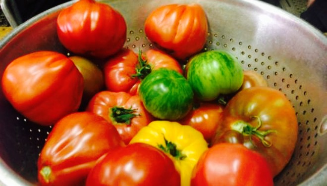 The Winery Restaurant - Grand Junction's Steakhouse