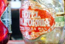 La Coronela美食图片