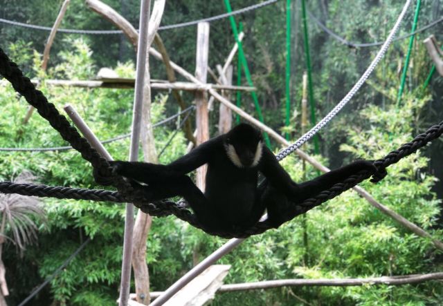 Melbourne Zoo