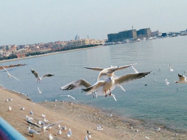 잔교(잔차오)