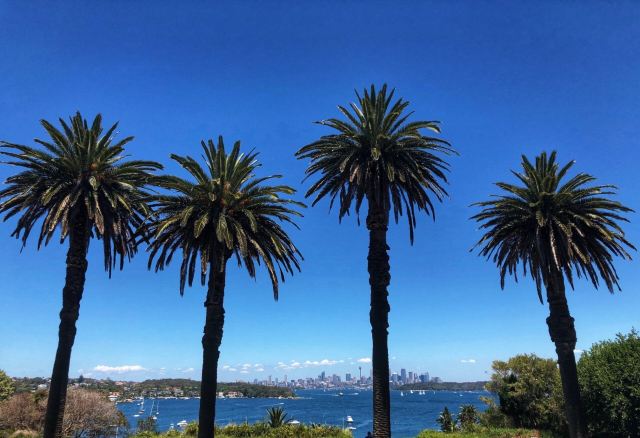 South Head and Watsons Bay Walk