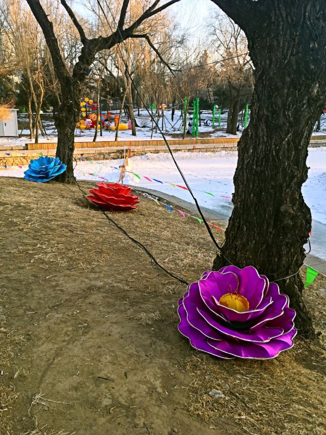 Nanhu Park