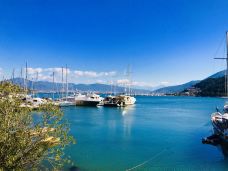 马尔马里斯-马米勒斯-可可喵0_0