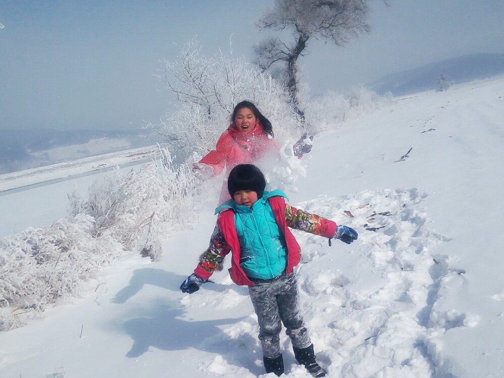 冰天雪地雾淞情