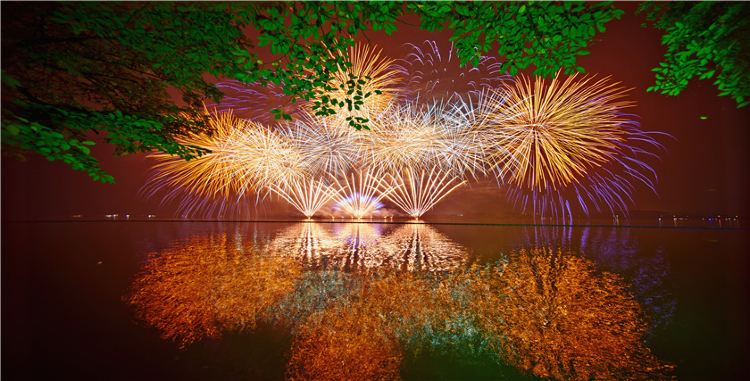 The Turtle Head Park (Natural landscapes, cherry blossoms)