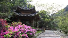 雁南飞茶田景区-桥溪古韵-梅州-doris圈圈