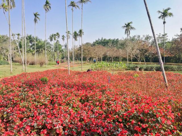 Jinniuling Park