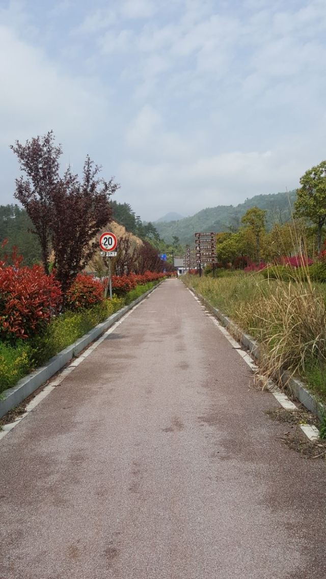 첸다오 호수 자전거 일주
