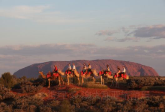 北领地旅游图片-北部地+乌鲁汝卡塔曲塔国家公园两日游