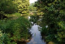 吴鸾旗墓园景点图片